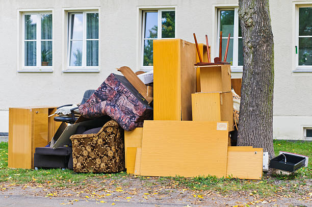 Yard Cleanup Services in Chandler, AZ